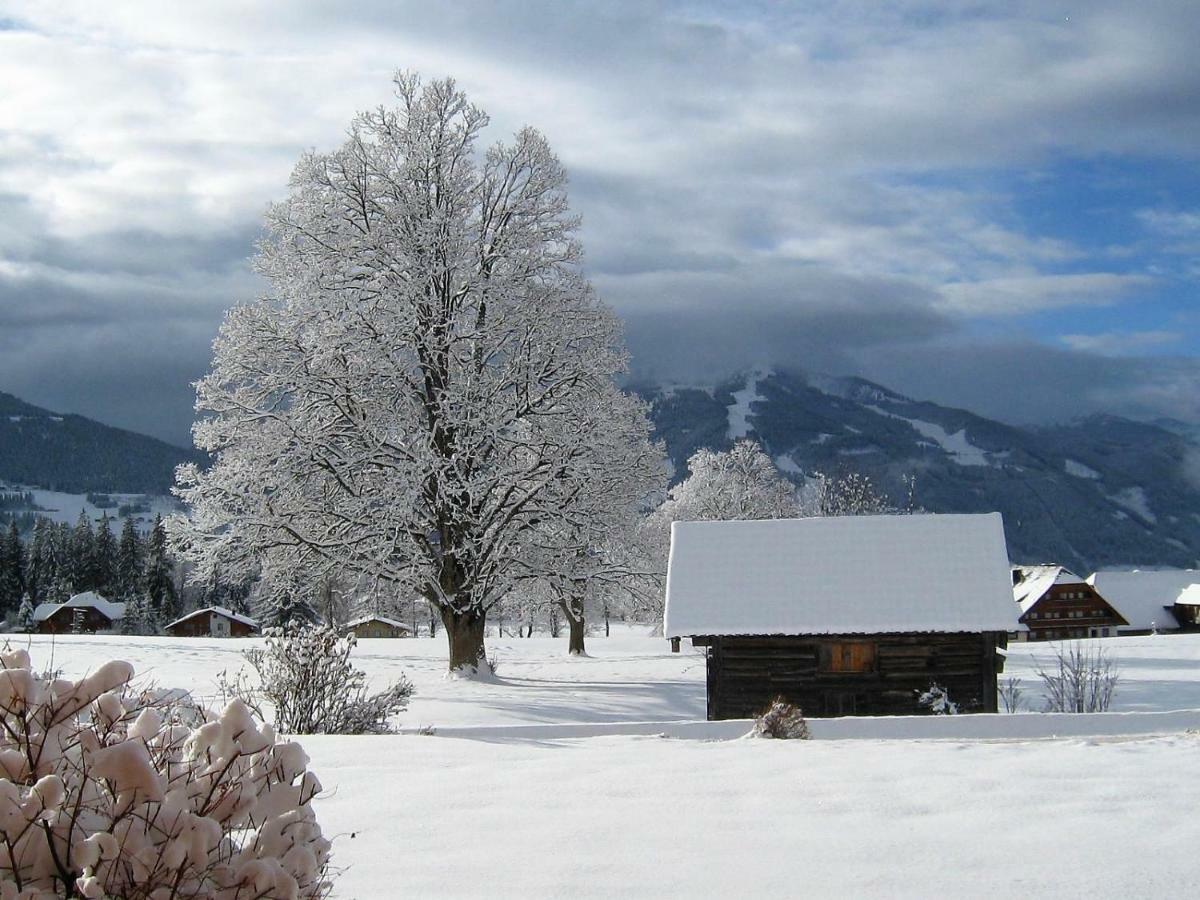 Blockhaus Royer Apartamento Ramsau am Dachstein Exterior foto